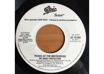 Picnic At The Whitehouse / Mental As Anything ‎– We Need Protection / You're So Strong – (jukebox) - 45 RPM