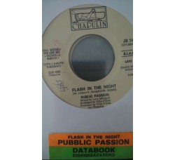 Public Passion / Databook ‎– Flash In The Night / Zighidizazazero - (Single jukebox)
