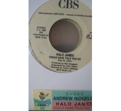 Halo James / Andrew Ridgeley ‎– Could Have Told You So / Shake - (Single jukebox)