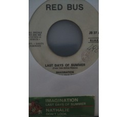 Imagination / Nathalie ‎– Last Days Of Summer / Don't Look  -  (Single jukebox)