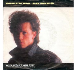 Melvin James ‎– Why Won't You Stay (Come In, Come Out Of The Rain) - 45 RPM