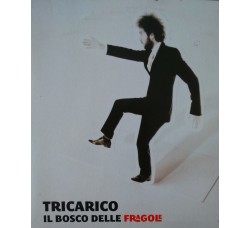 Tricarico – Il bosco delle fragole - CD 