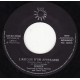 Squeek (3) ‎– Make Hay While The Sun Shines  - 45 RPM