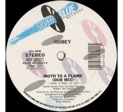 Robey ‎– Moth To A Flame - 12" Single