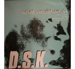 DSK ‎– What Would We Do - LP/Vinile