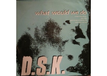 DSK ‎– What Would We Do - LP/Vinile