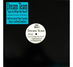 Dream Team ‎– Love Is What We Need - LP/Vinile