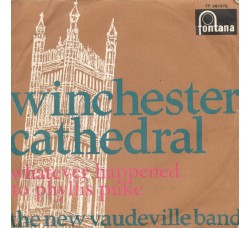 The New Vaudeville Band ‎– Winchester Cathedral - 45 RPM