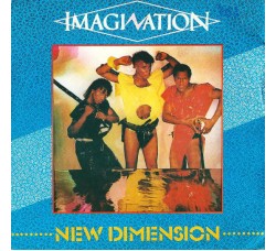 Imagination ‎– New Dimension - Vinyl, 7", 45 RPM - Uscita: 1983