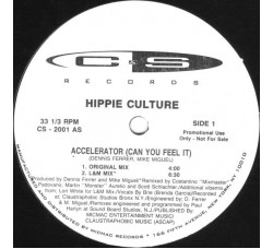 Hippie Culture ‎– Accelerator (Can You Feel It)