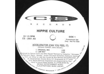 Hippie Culture ‎– Accelerator (Can You Feel It)