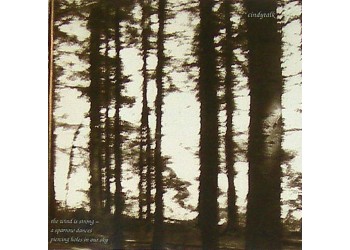 Cindytalk ‎– The Wind Is Strong... Vinyl, LP, Album / Uscita: 1990
