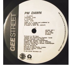 PM Dawn ‎– Plastic - 12" Singles