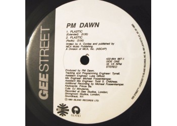 PM Dawn ‎– Plastic - 12" Singles