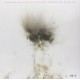 Jeremy Messersmith ‎– Heart Murmurs / Vinyl, LP, Album CD, Album / Uscita: 04 Feb 2014