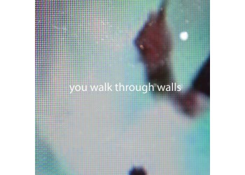 You Walk Through Walls ‎– LP/Vinile