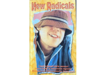 New Radicals - Gregg Alexander 