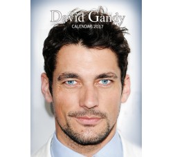 David Gandy - Calendario da collezione 2017